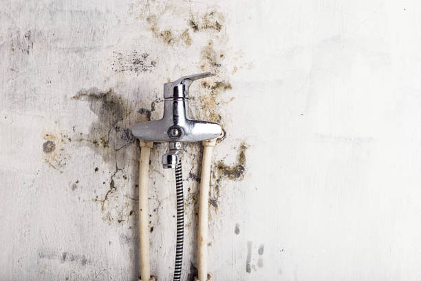 Best HVAC Mold Remediation in Trotwood, OH
