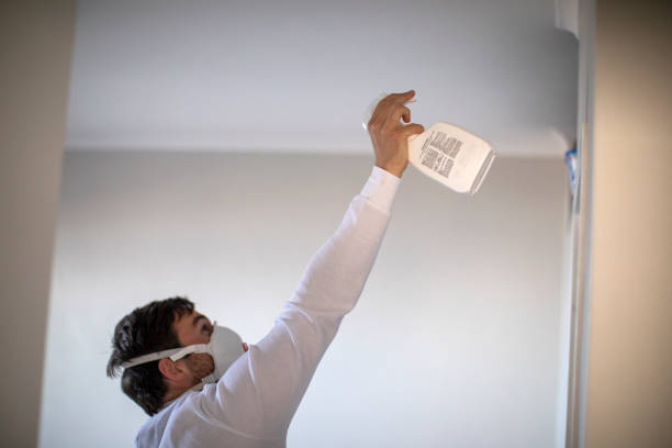 Best Localized Mold Remediation (e.g., coastal areas, humid climates) in Trotwood, OH